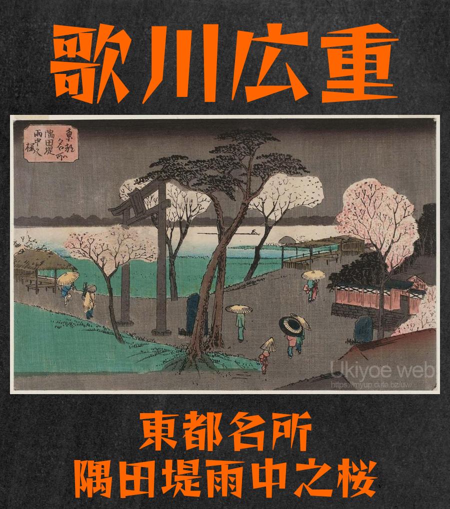 Утагава Хиросигэ - Вишневые деревья под дождем на набережной реки Сумида  (Sumida zutsumi uch no sakura) из серии «Знаменитые места восточной  столицы» (Tôto meisho) : Ukiyoe web - Японское искусство древние гравюры